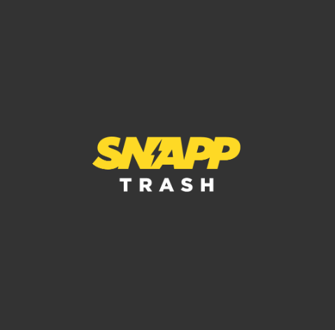 Snapp-trash-Case-Study